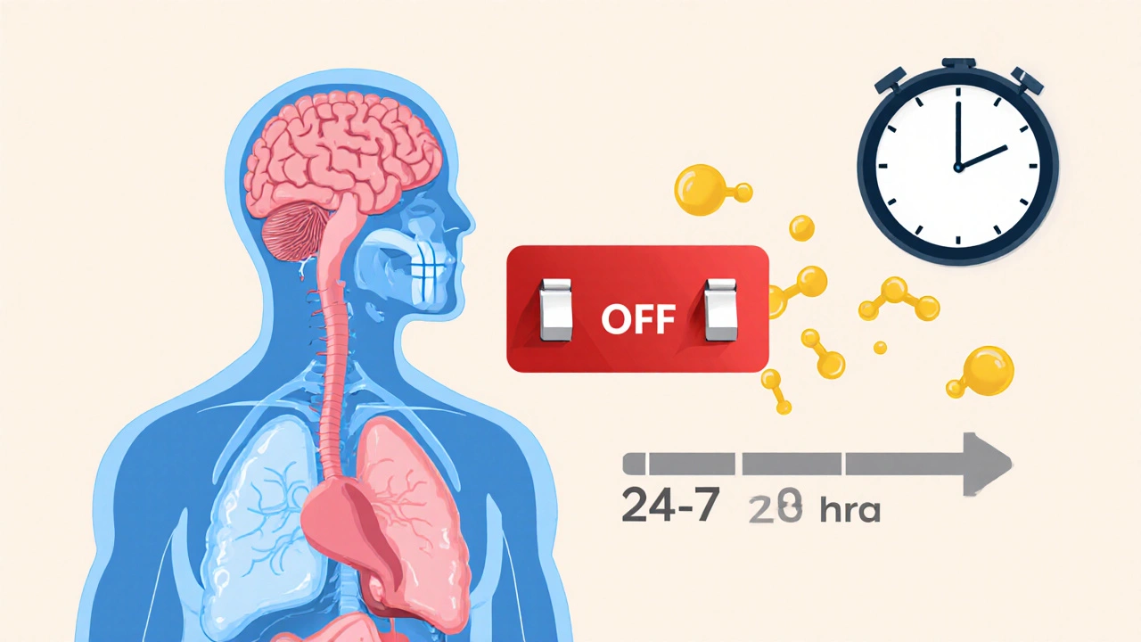 Adrenal Insufficiency from Corticosteroid Withdrawal: How to Recognize and Manage the Risk