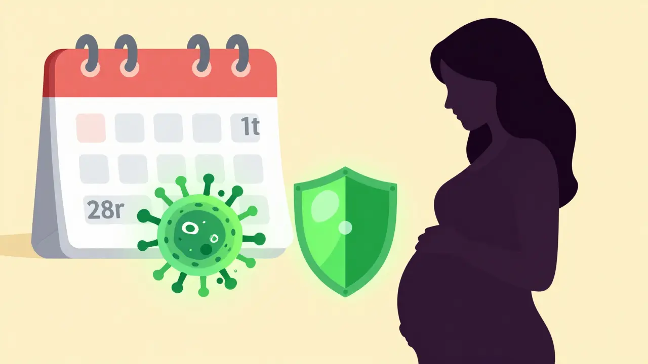 Pregnant woman protected by penicillin from syphilis transmission to unborn child.