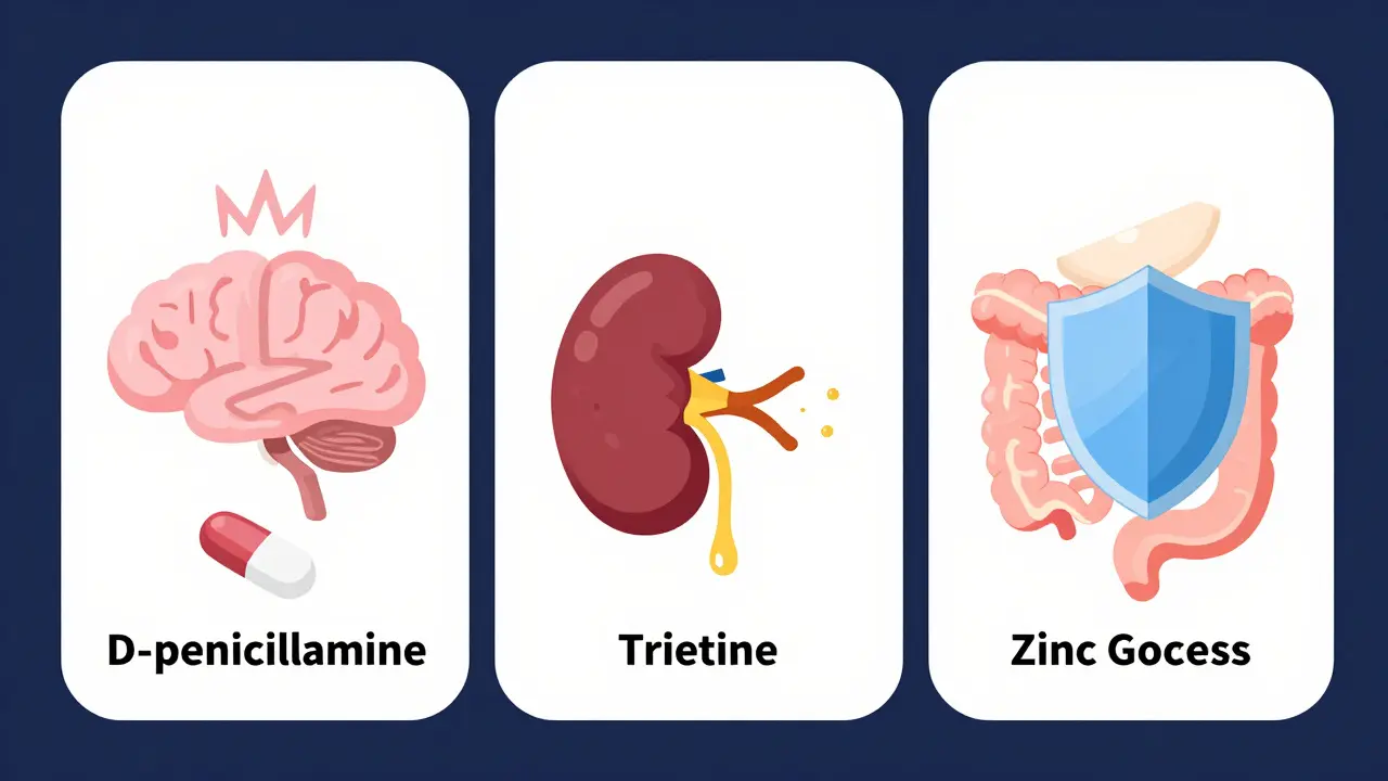 Three treatment methods for Wilson’s disease shown with symbolic icons in flat design