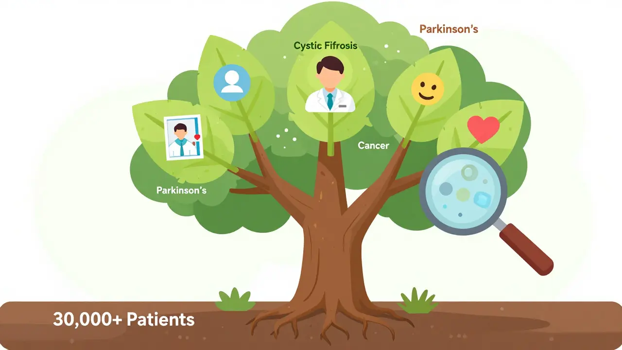Real-World Evidence Sources for Drug Safety: How Registries and Claims Data Keep Medications Safe
